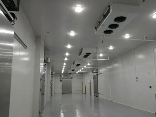 冷庫(kù)造價(jià)