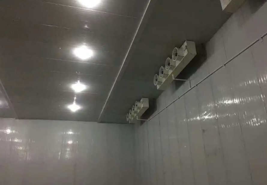 冷凍庫(kù)造價(jià)