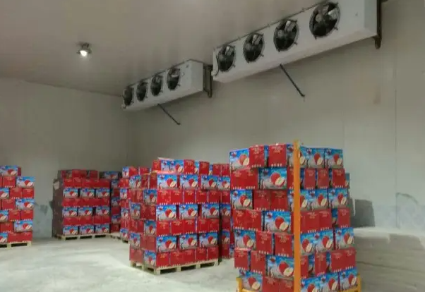 大連蘋(píng)果保鮮冷庫(kù)安裝多少錢(qián)一平方