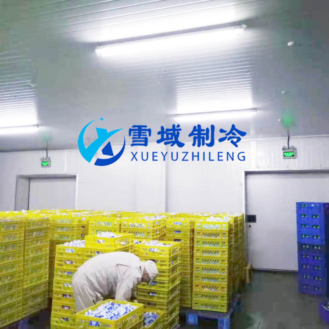 徐州衛(wèi)崗速凍冷庫現場圖片