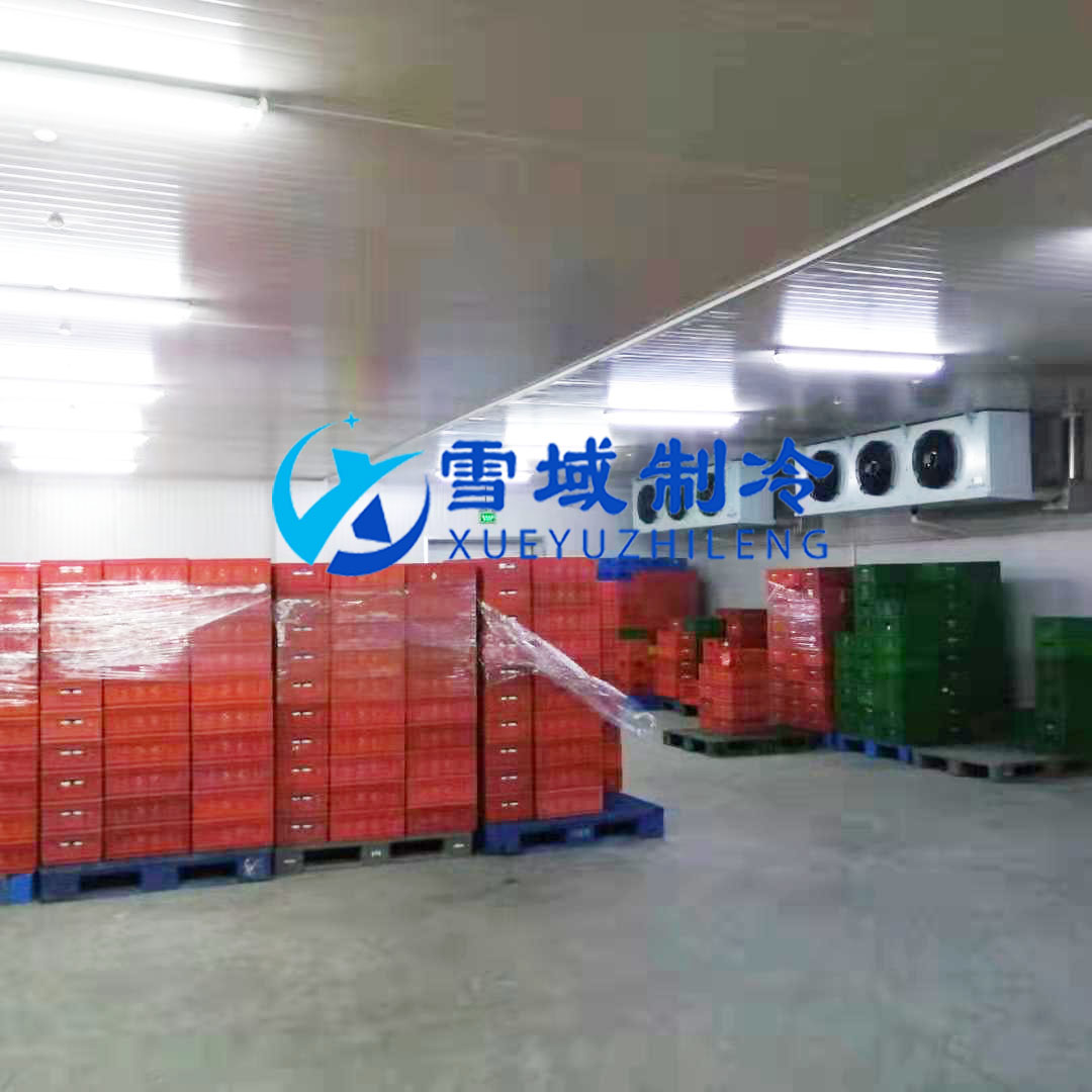 徐州衛(wèi)崗速凍冷庫現場圖片