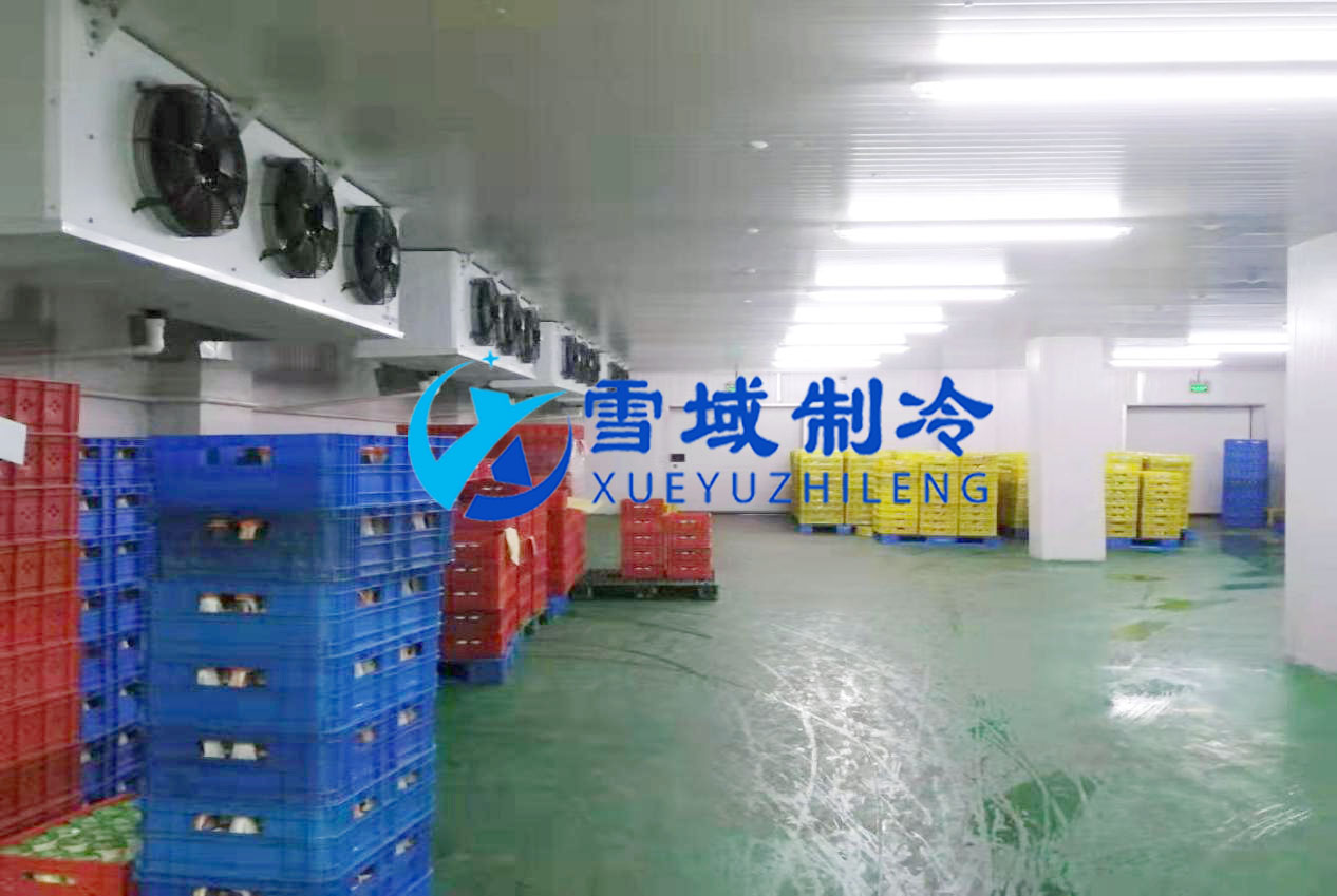 徐州衛(wèi)崗速凍冷庫現場圖片