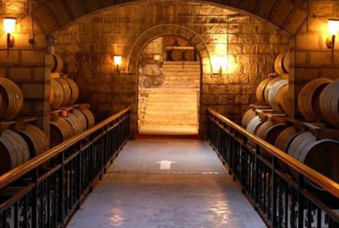 葡萄酒冷庫設計要求及存儲注意事項