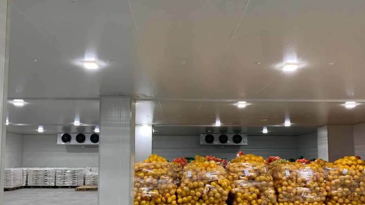 建一個(gè)500平米的冷庫(kù)造價(jià)多少錢