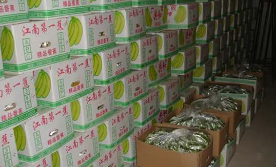 建一個(gè)香蕉冷庫(kù)需要花費(fèi)多少成本