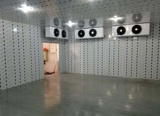 冷庫建設(shè)成本一平米需要多少預(yù)算