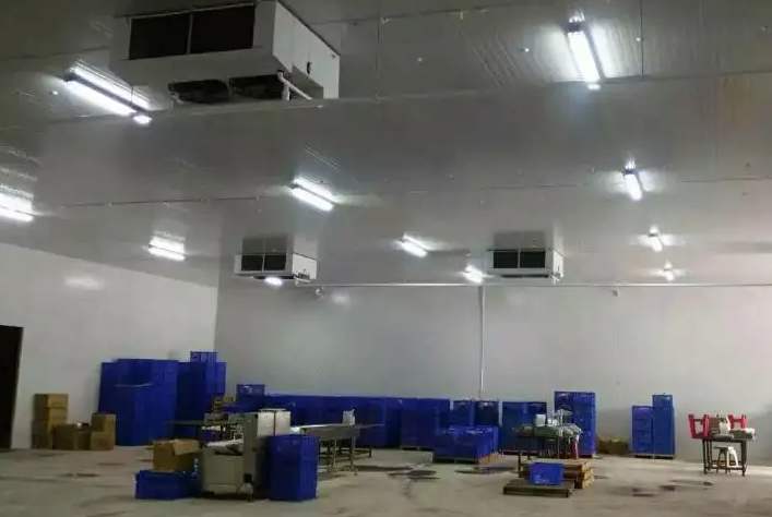 自建一個(gè)350平米冷庫需要多少錢