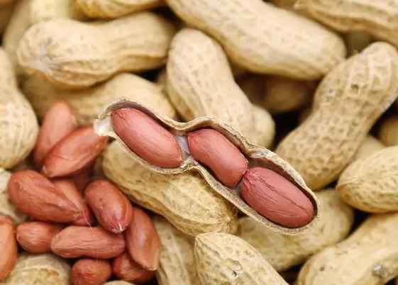 五百立方花生保鮮冷庫(kù)造價(jià)多少錢(qián)