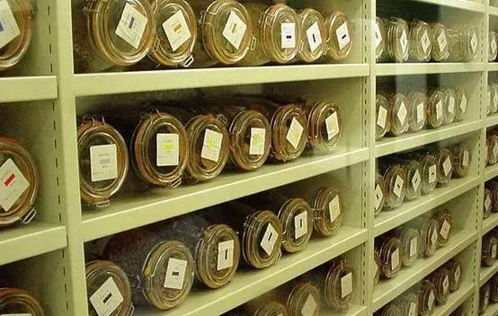 安裝500平米科研種子冷庫費用是多少？