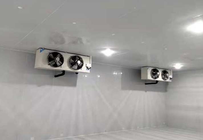 建造青芒果保鮮冷庫(kù)需要多少錢(qián)