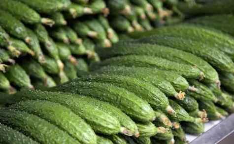 保鮮冷庫(kù)中如何正確存儲(chǔ)黃瓜