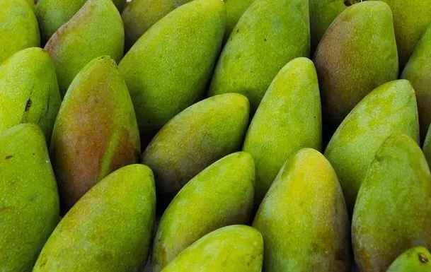 建造青芒果保鮮冷庫(kù)需要多少錢(qián)