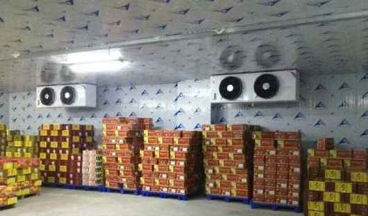 水果冷藏庫(kù)改造優(yōu)化方案