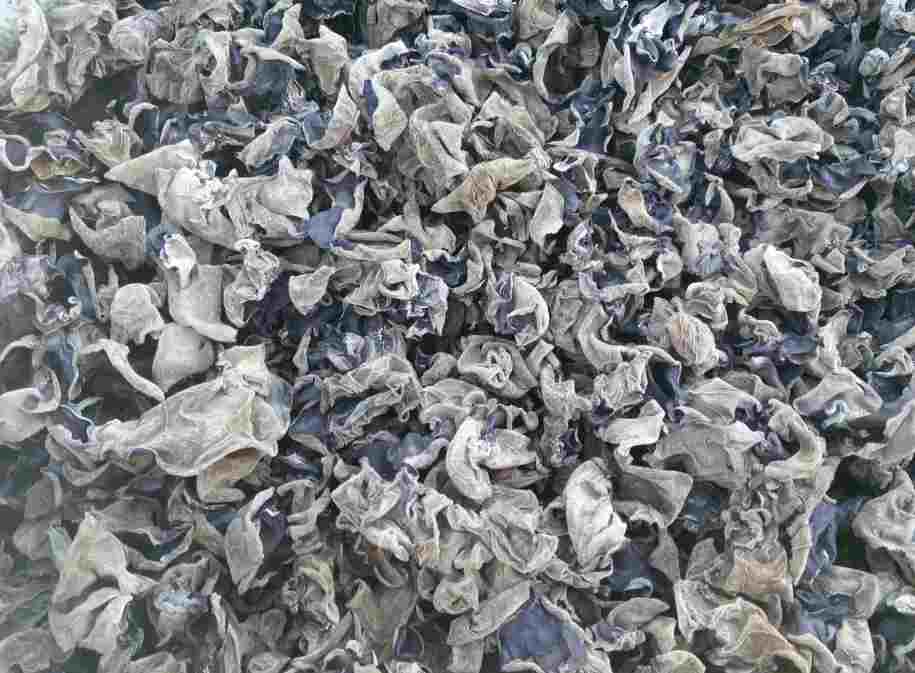 南京木耳保鮮冷庫(kù)安裝大概需要多少錢