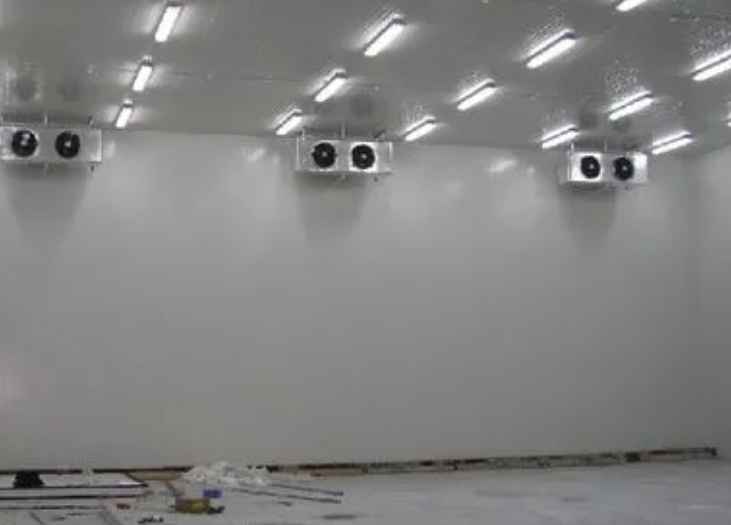 1000立方冷凍庫每平方米的造價多少錢