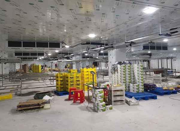 建一個(gè)100平水果保鮮冷庫要多少錢