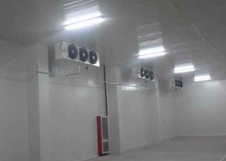 幼兒園餐飲冷庫大概多少錢