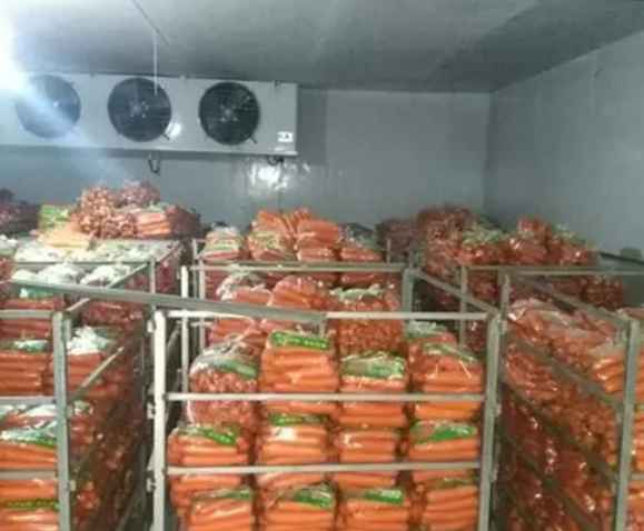 果蔬保鮮冷庫(kù)造價(jià)多少錢