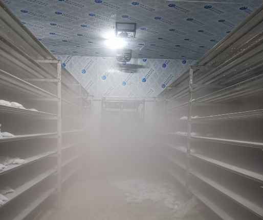 低溫速凍冷藏冷庫設(shè)計(jì)方案