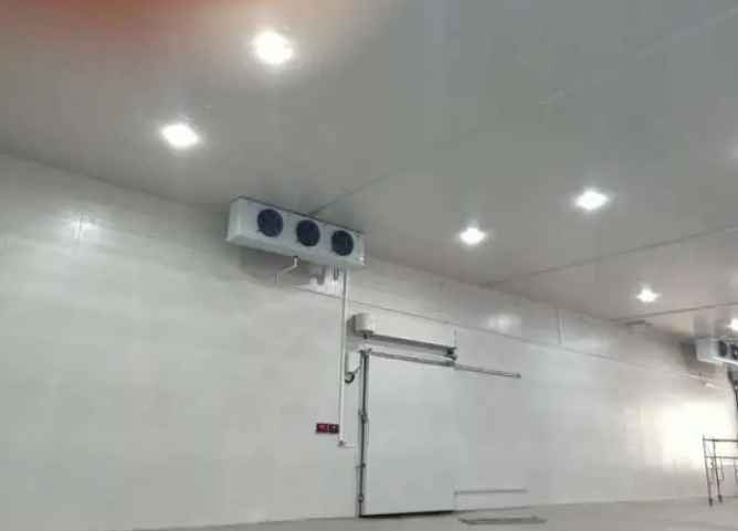  對(duì)蝦放進(jìn)冷庫(kù)儲(chǔ)存一般多久