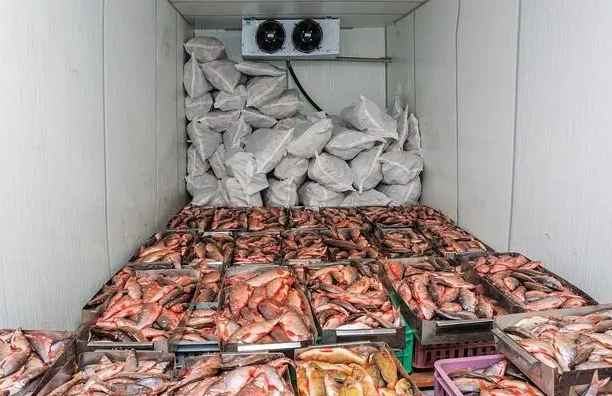 海鮮冷庫(kù)用風(fēng)冷還是排管好