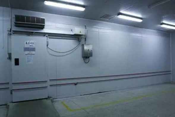  對(duì)蝦放進(jìn)冷庫(kù)儲(chǔ)存一般多久