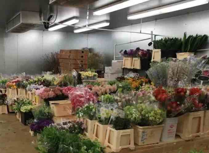 冷庫(kù)鮮花保存時(shí)間長(zhǎng)的方法