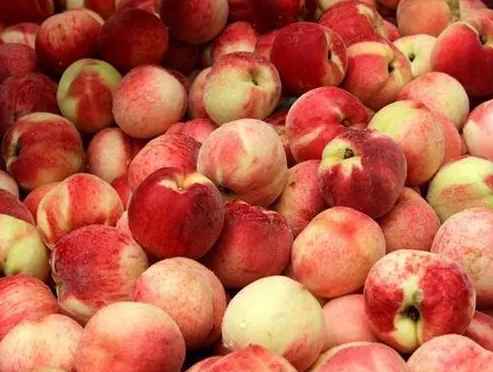 水果為什么要放冷庫(kù)保鮮保存