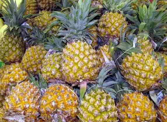 安裝菠蘿氣調(diào)冷庫(kù)多少錢