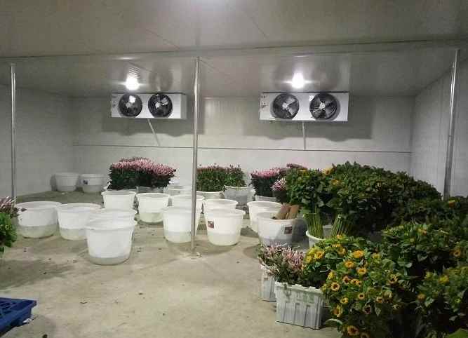 建造一個冷庫需要哪些設(shè)備和材料