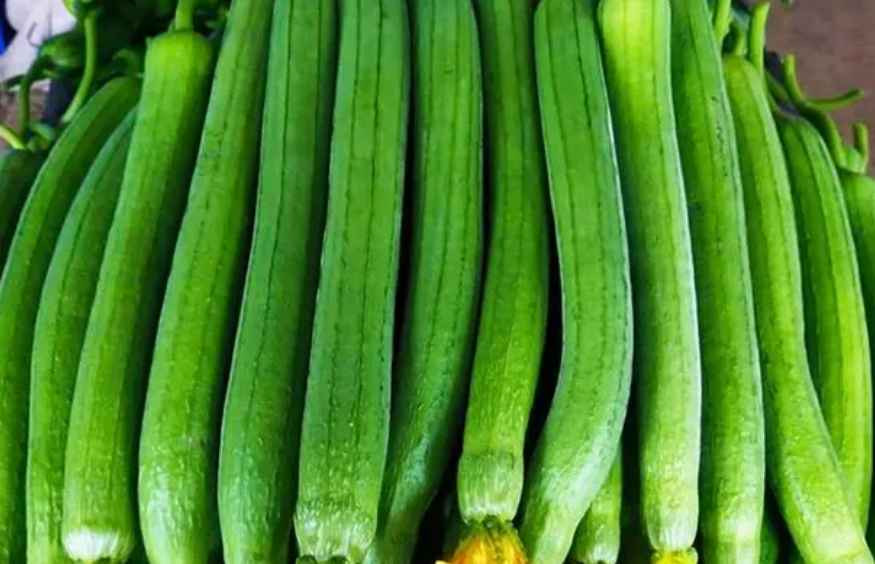 絲瓜放在中冷庫如何防止冷害發(fā)生