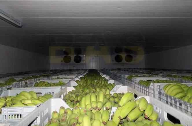 安裝香蕉催熟冷庫(kù)價(jià)格多少錢