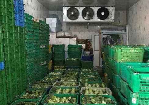 果蔬氣調(diào)冷庫(kù)建造廠家挑選