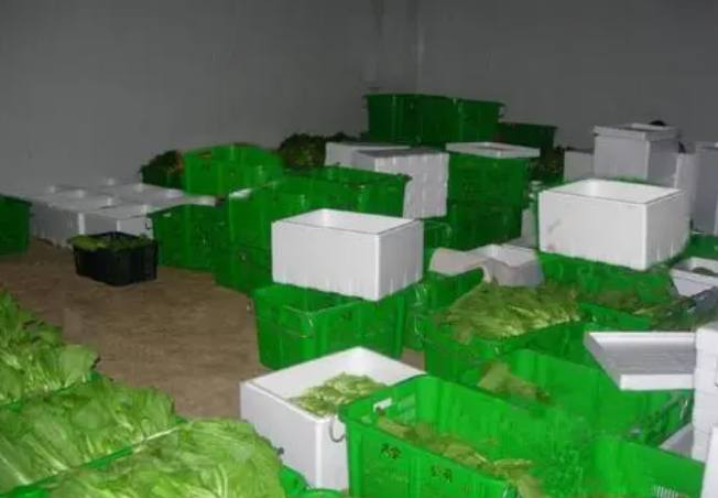 果蔬氣調(diào)冷庫(kù)建造廠家挑選