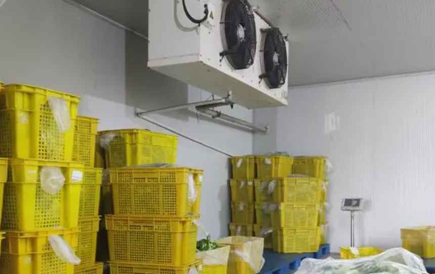 蔬菜保鮮冷庫(kù)建設(shè)方案及流程