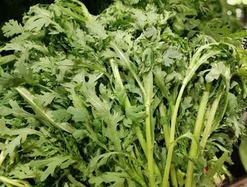 茼蒿冷庫保鮮儲(chǔ)存方法