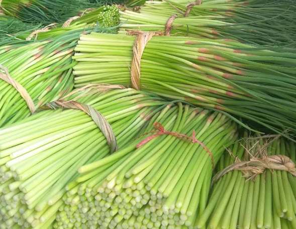 蒜苔冷庫(kù)如何正確保鮮儲(chǔ)存？