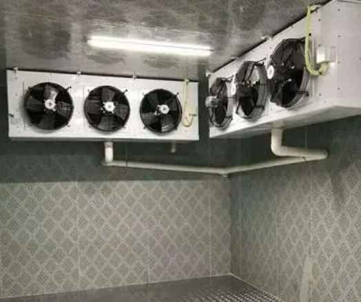 建存放200噸農(nóng)產(chǎn)品冷庫(kù)大概需要多少錢(qián)