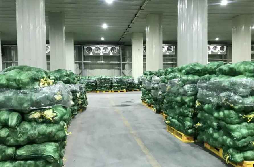 菜市場蔬菜冷庫理想建造面積應(yīng)為多少平方米？