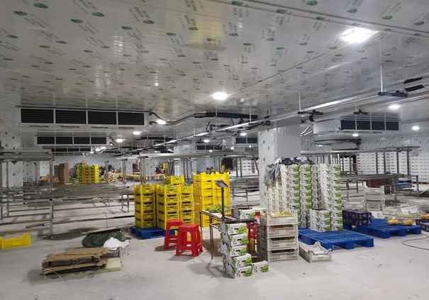 葡萄冷庫保鮮庫存多久