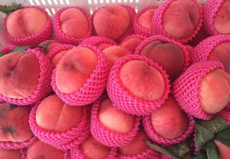 建一個(gè)200平米水蜜桃冷庫(kù)多少錢