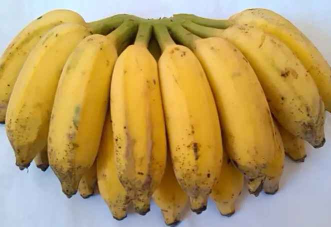 建一個(gè)兩千平方芝麻蕉冷庫得多少錢