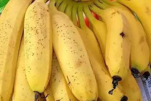 建一個(gè)兩千平方芝麻蕉冷庫得多少錢