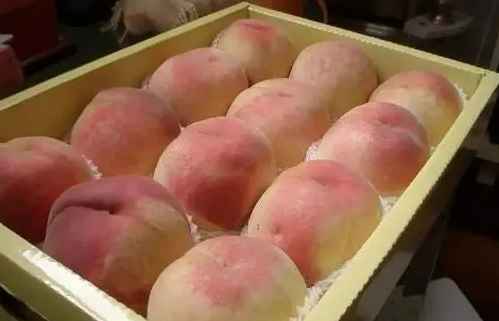 廣西6000平水果冷庫(kù)安裝大約多少錢(qián)